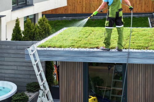 Green roofing